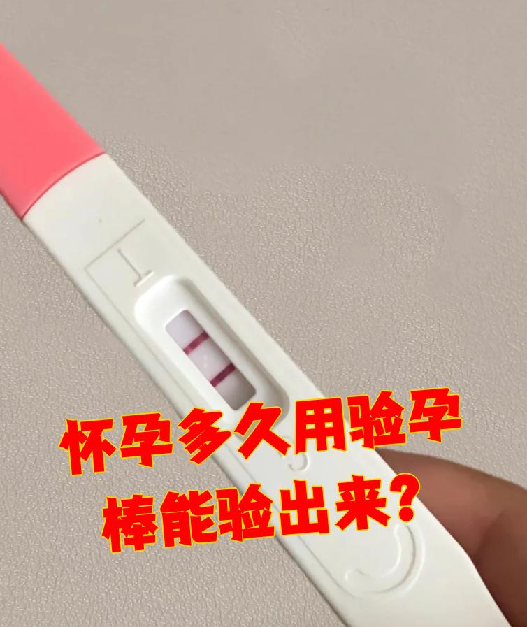 缑雁桃 第2页