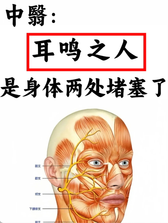 神经性耳鸣的症状有几种