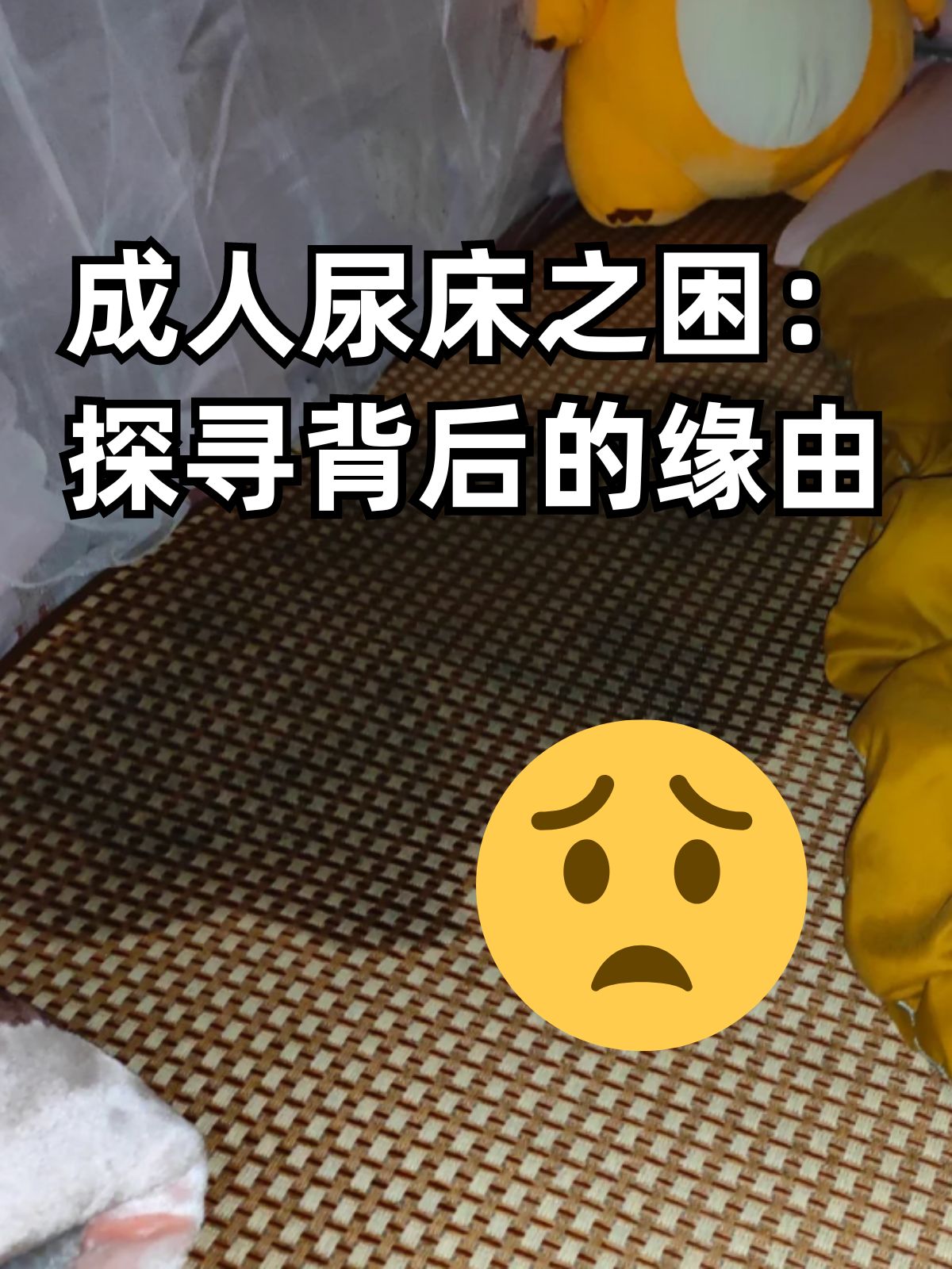 都市视野 第304页