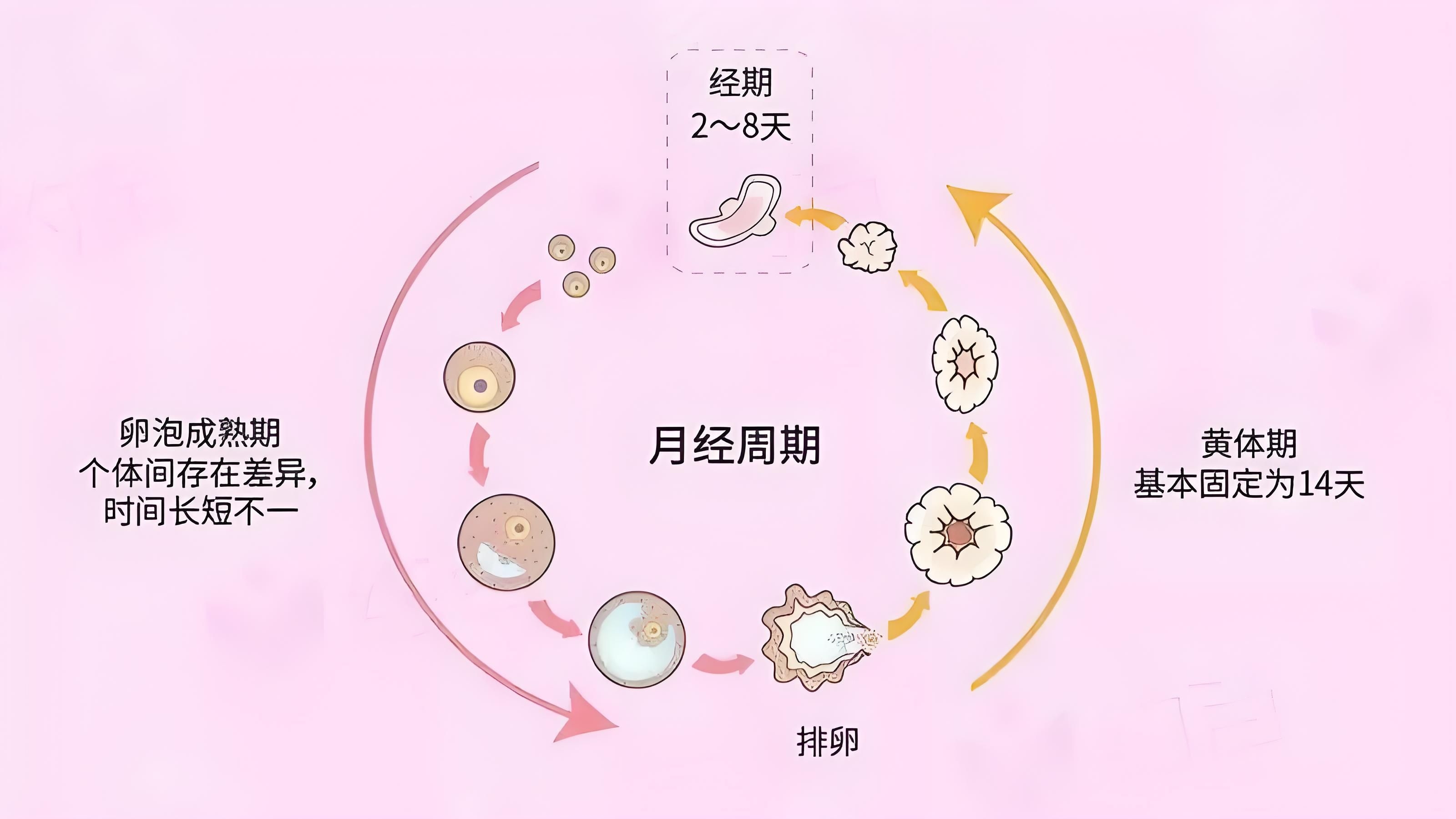 月经怎么才算正常