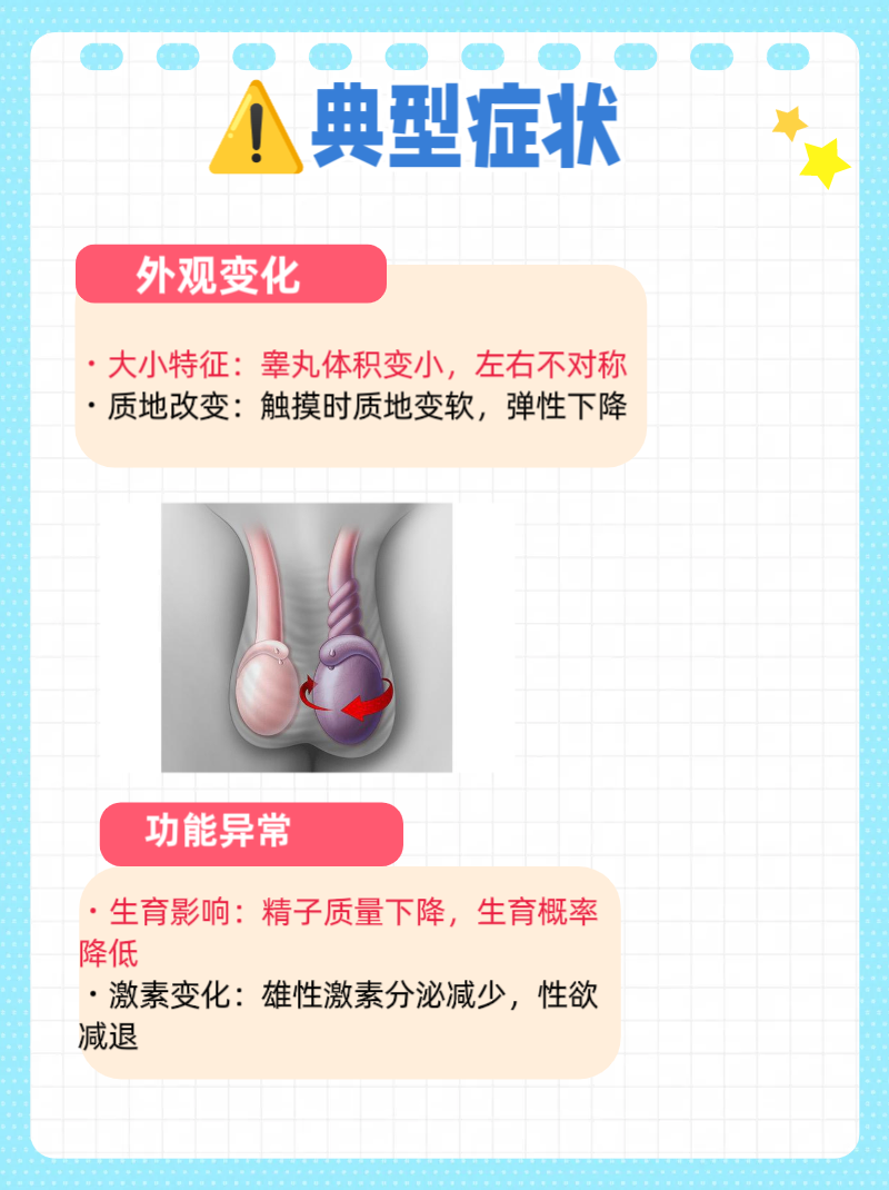 怎样能让睾丸变大