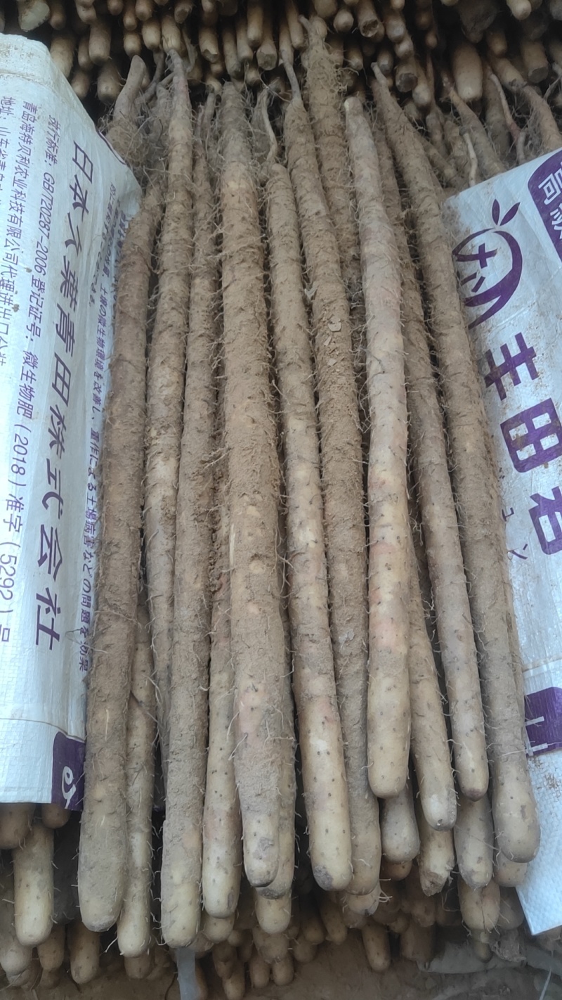 麻山药的功效