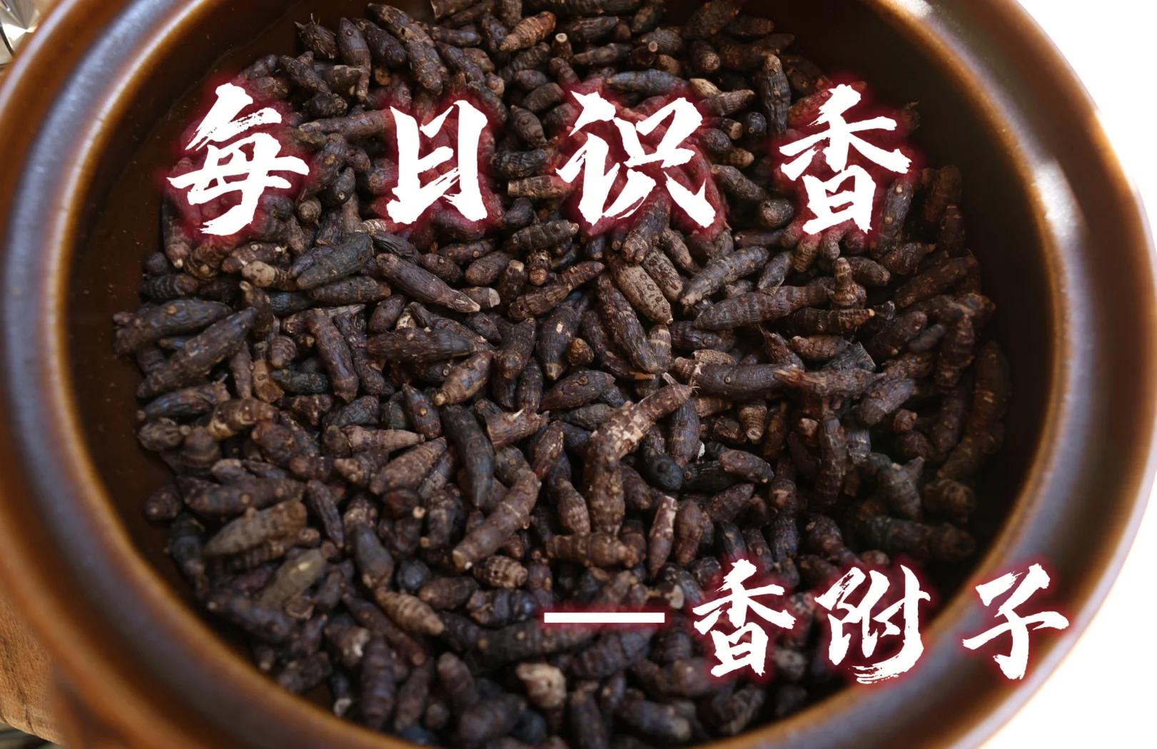 熟附子的功效和作用