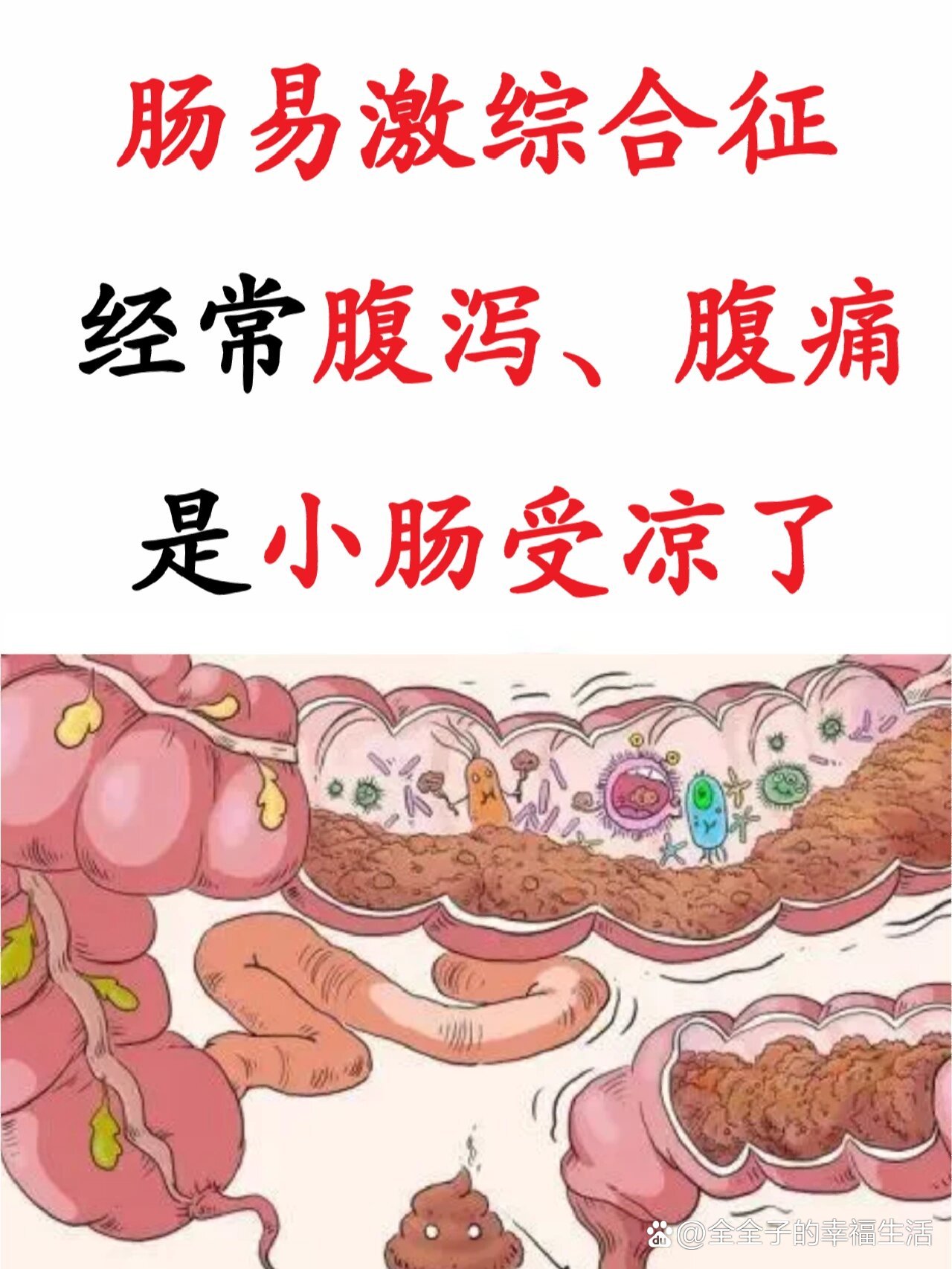 肠道易激惹综合症是什么病