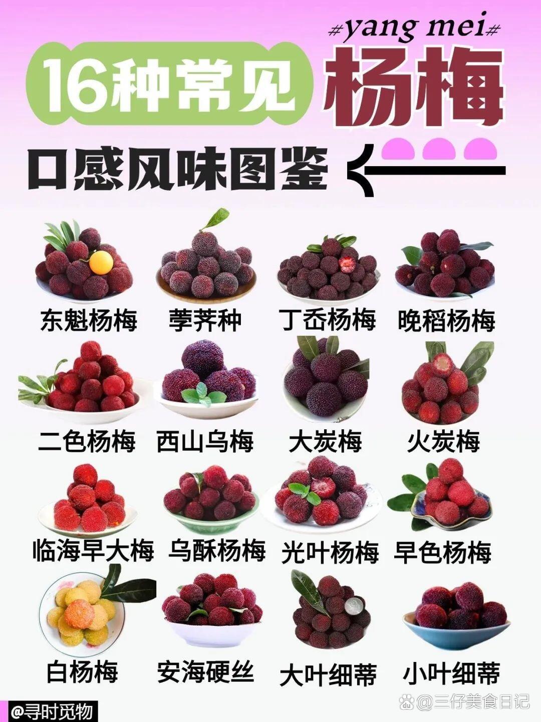 孕妇血糖高可以吃杨梅吗