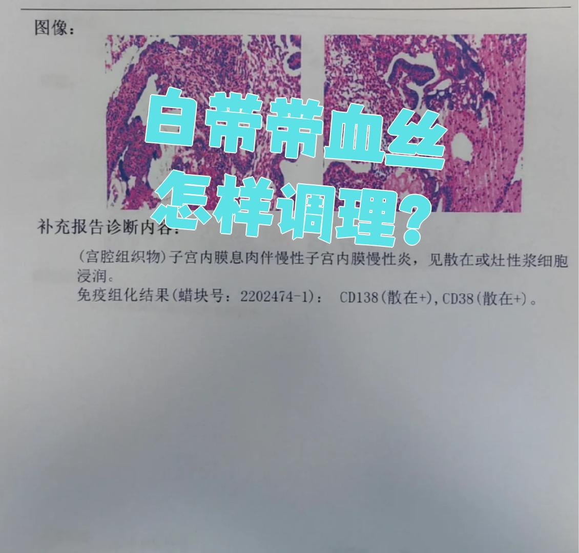 春珂 第2页