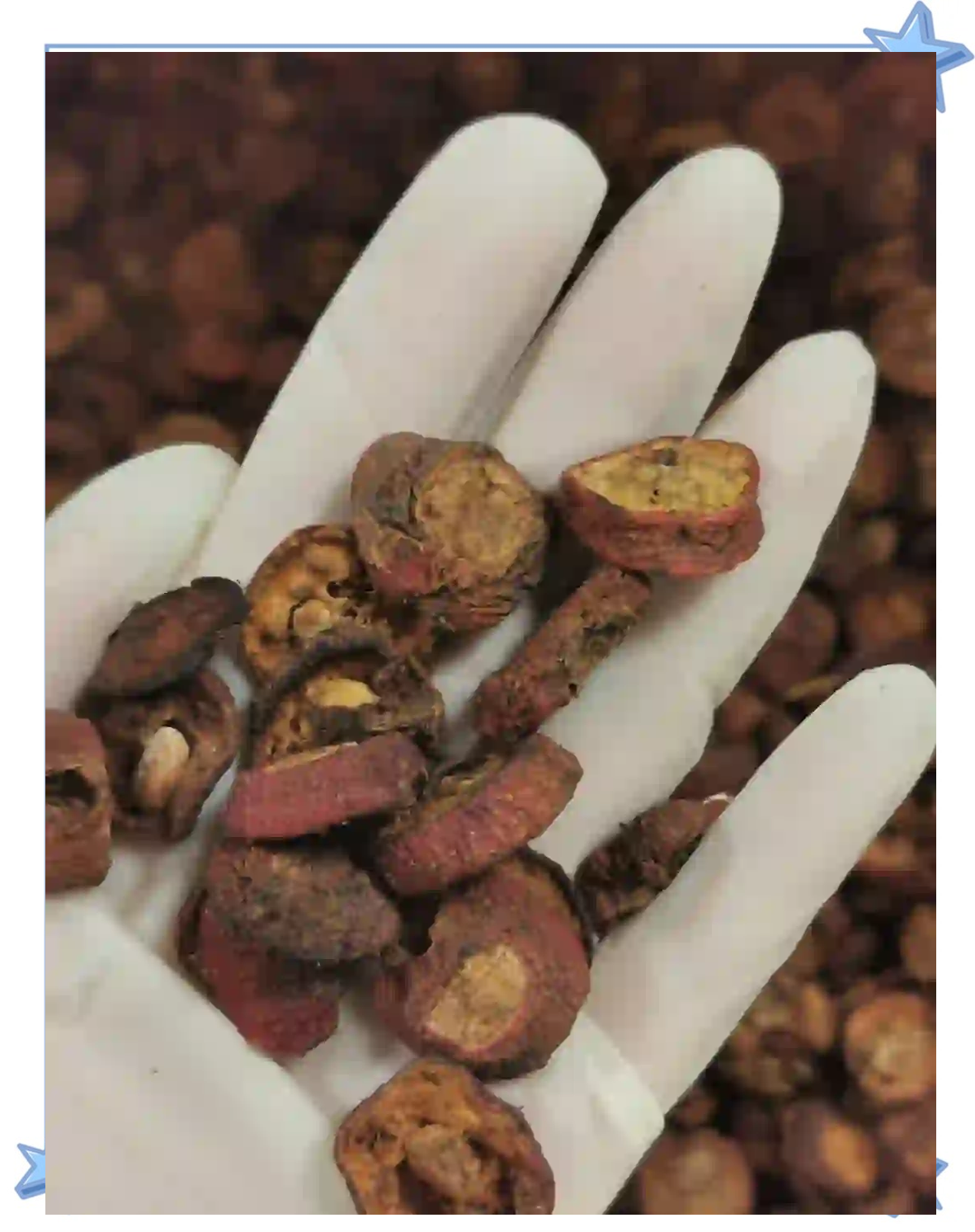 炒山楂的功效与作用