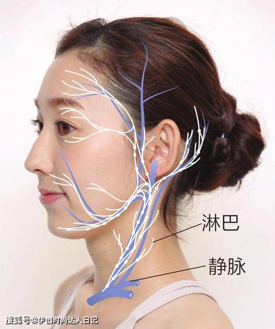 颌下的淋巴结可以用手摸到吗?