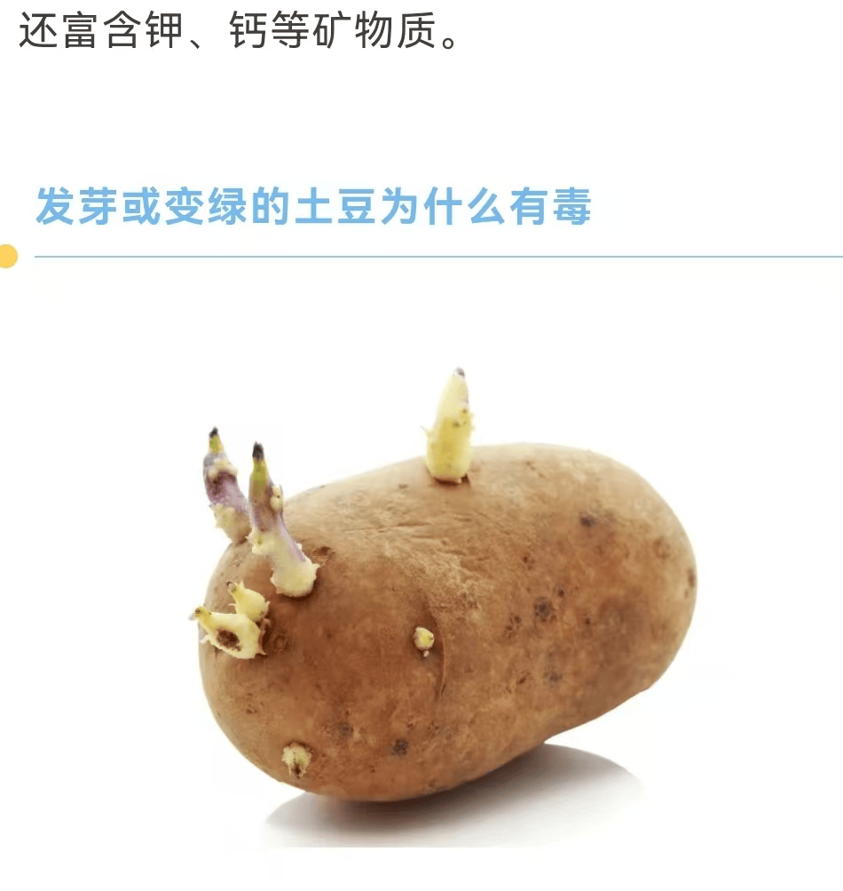 土豆刚发芽切掉发芽的部分、土豆还可以吃吗