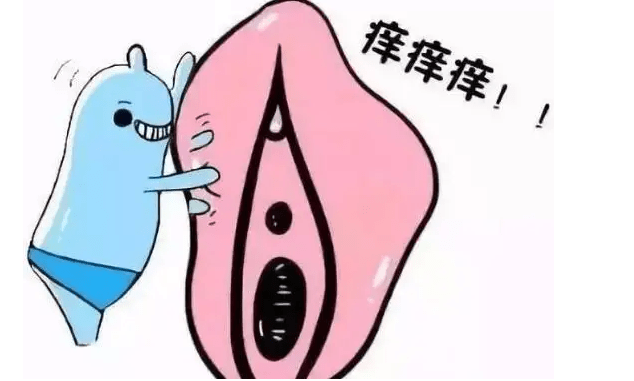 妇科外阴瘙痒如何治疗