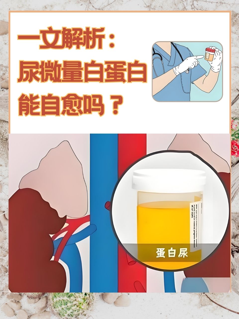 尿微量白蛋白增高怎么办