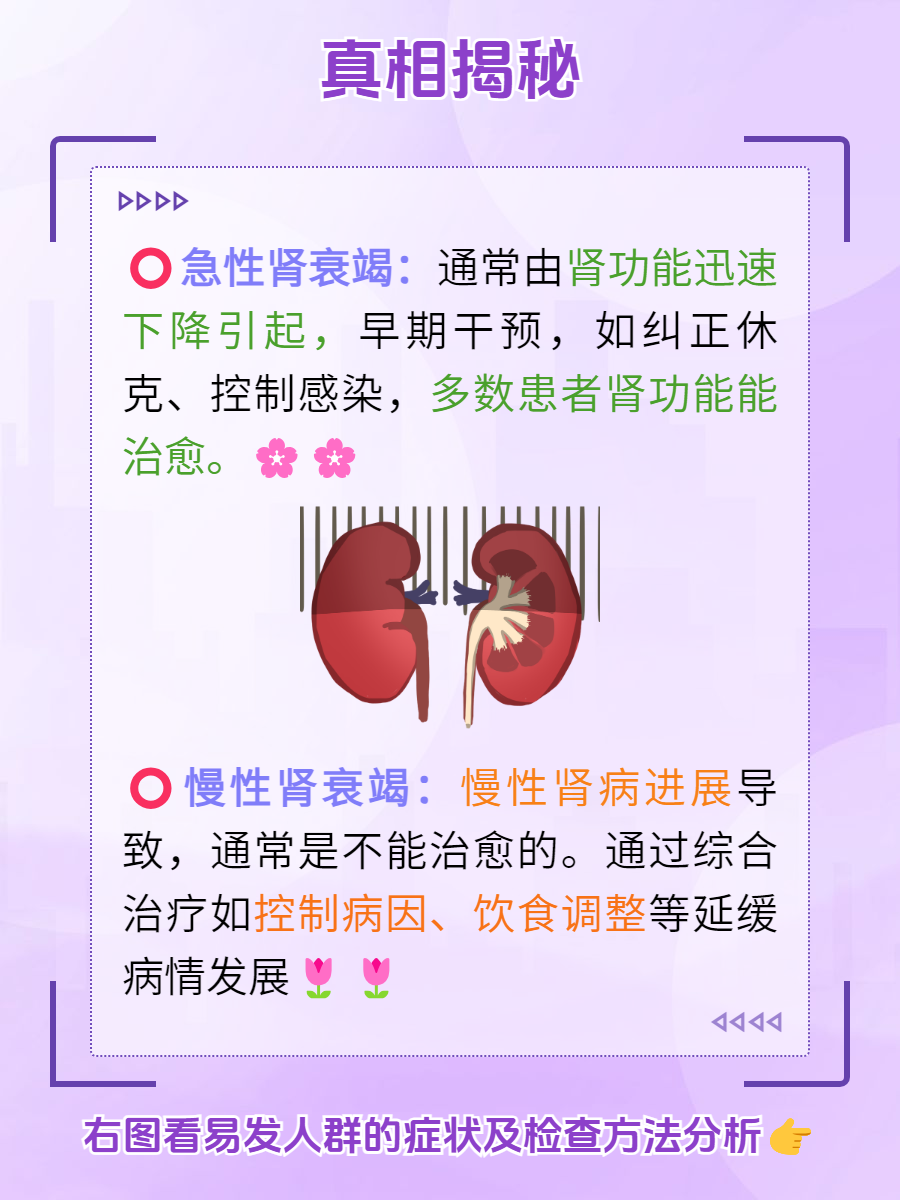 慢性肾功能衰竭的症状