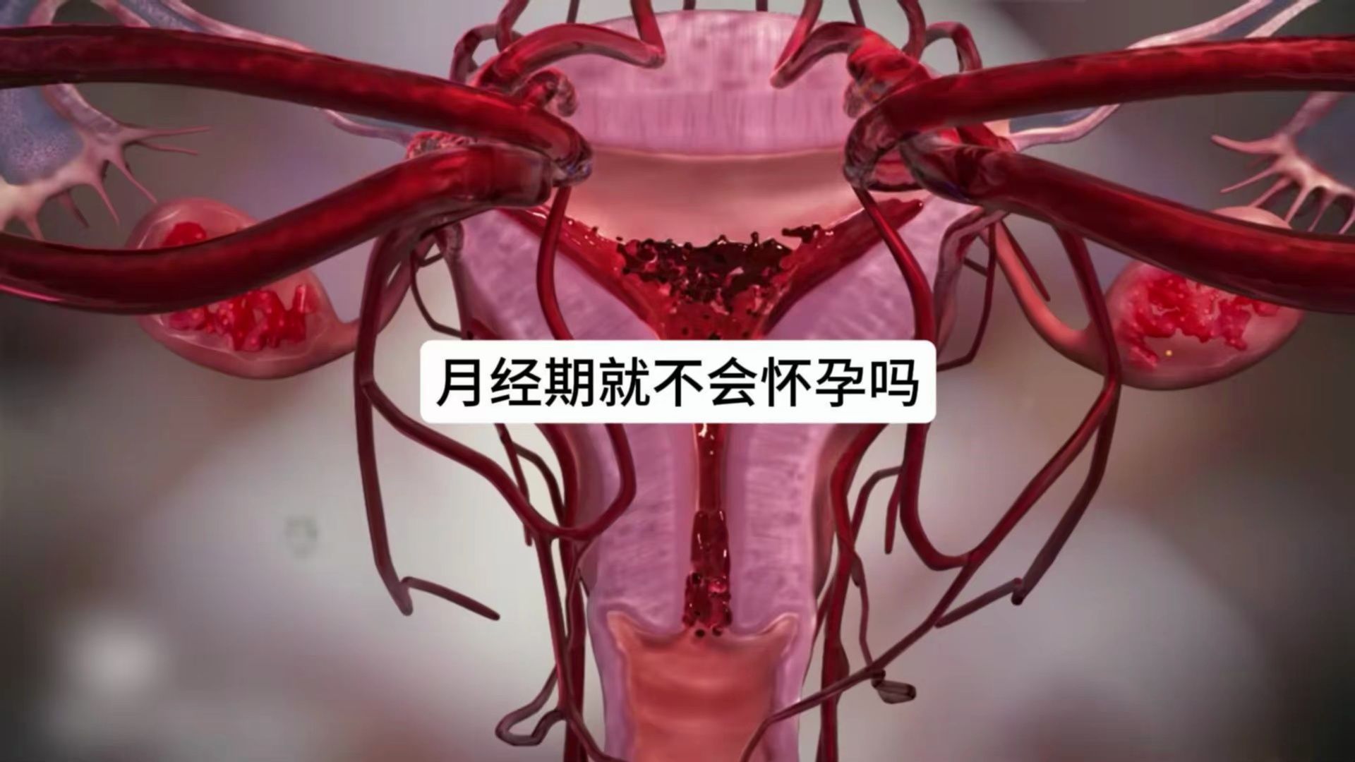 怀孕第一个月还会来月经吗?