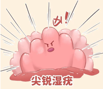 外阴长了颗痘痘,一摸就疼