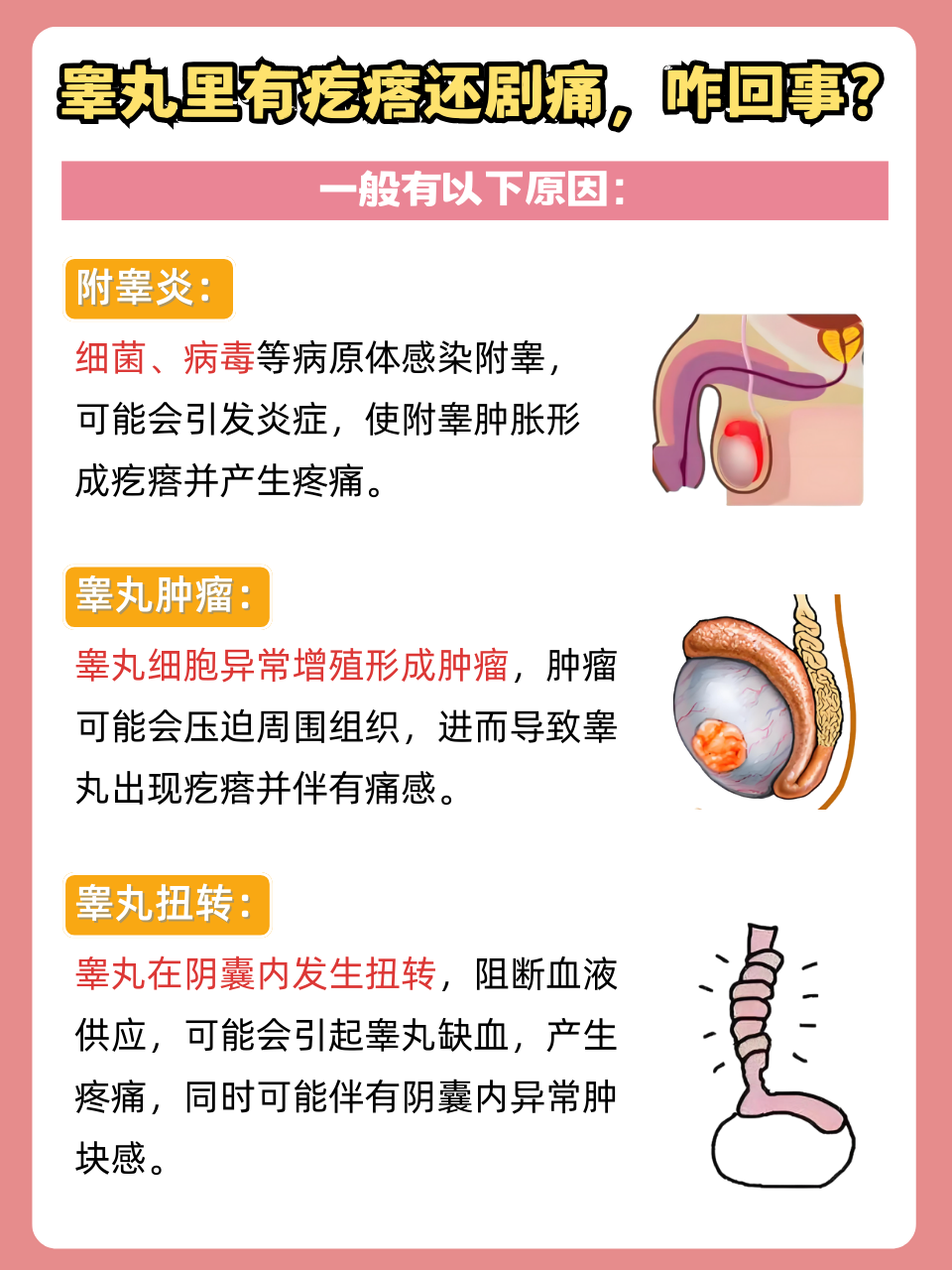 左边睾丸痛怎么办?