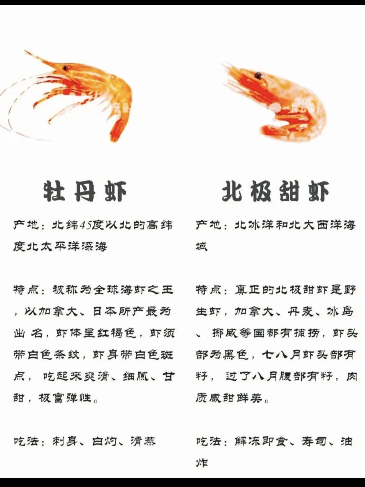 虾的营养有哪些