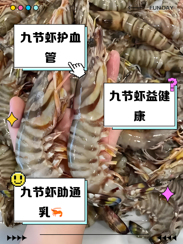 虾的营养价值