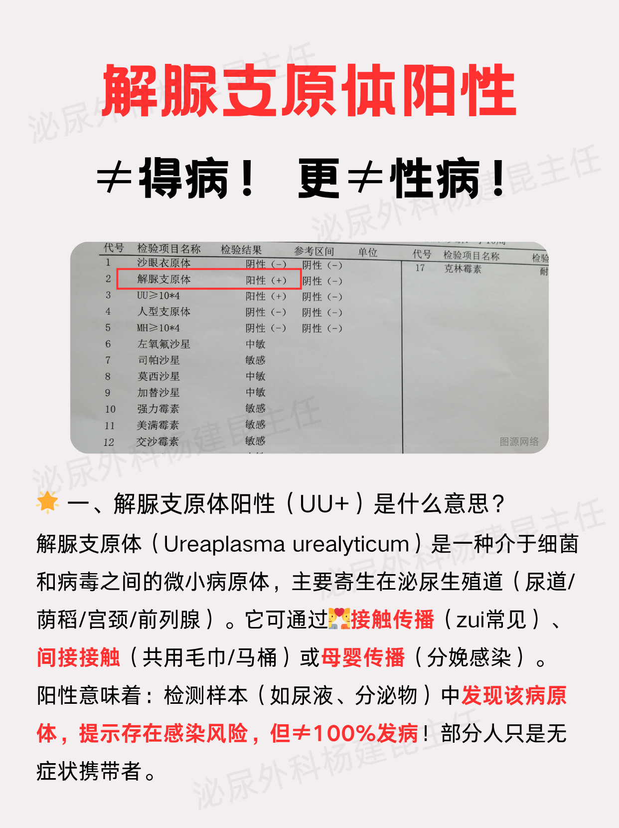 焦从露 第2页