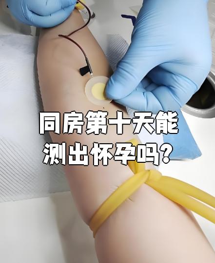 同房10天能测出怀孕吗