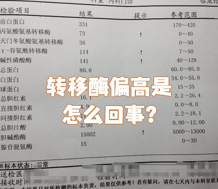 丙氨酸氨基转移酶