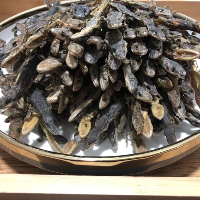 干壁虎能吃吗,怎么用呢