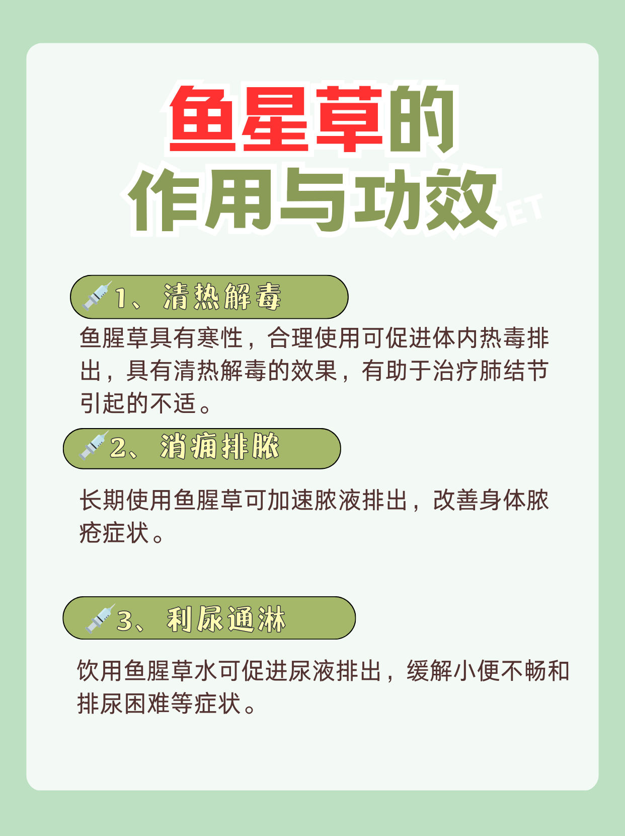 鱼腥草的作用和功效是什么?