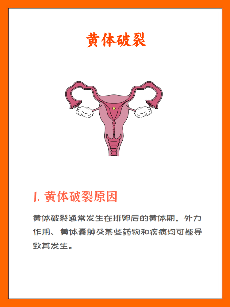 黄体囊肿是怎么形成的
