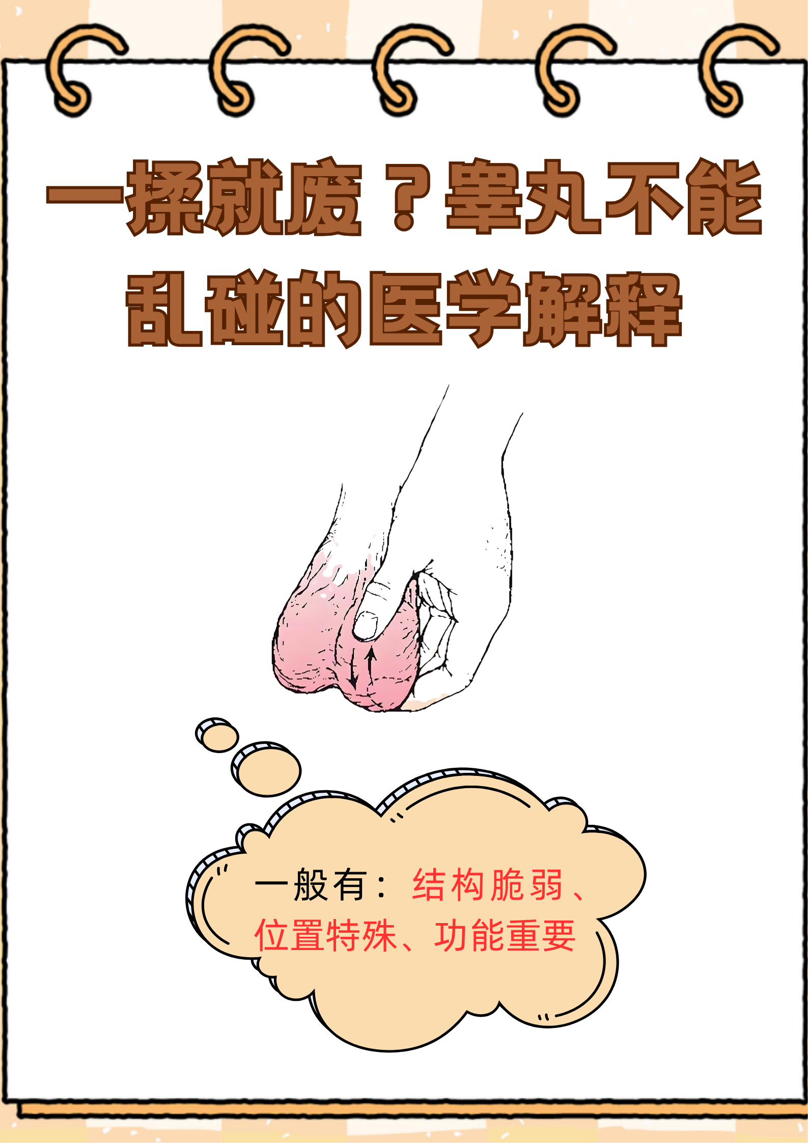 睾丸大小不同会影响性功能吗？