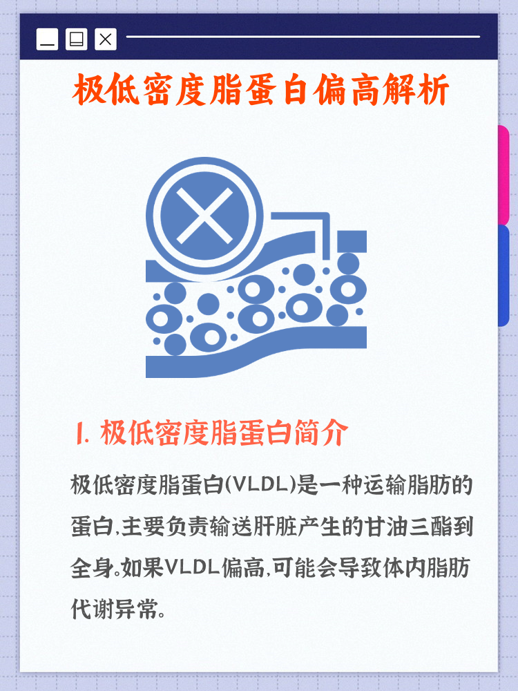 载脂蛋白B偏低是什么原因