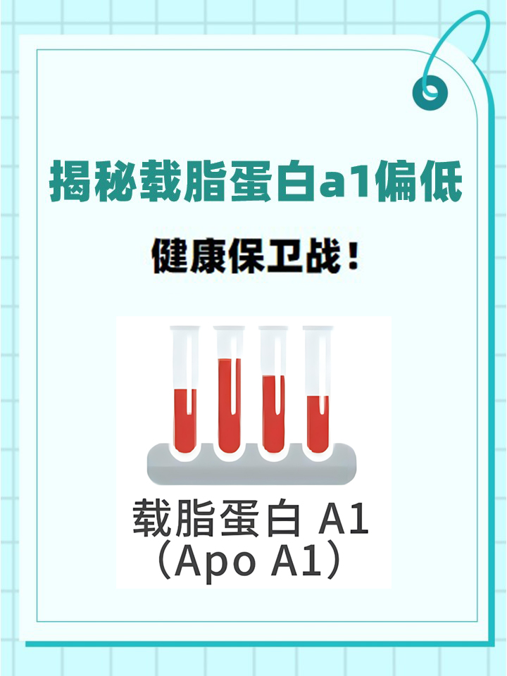 载脂蛋白B偏低是什么原因