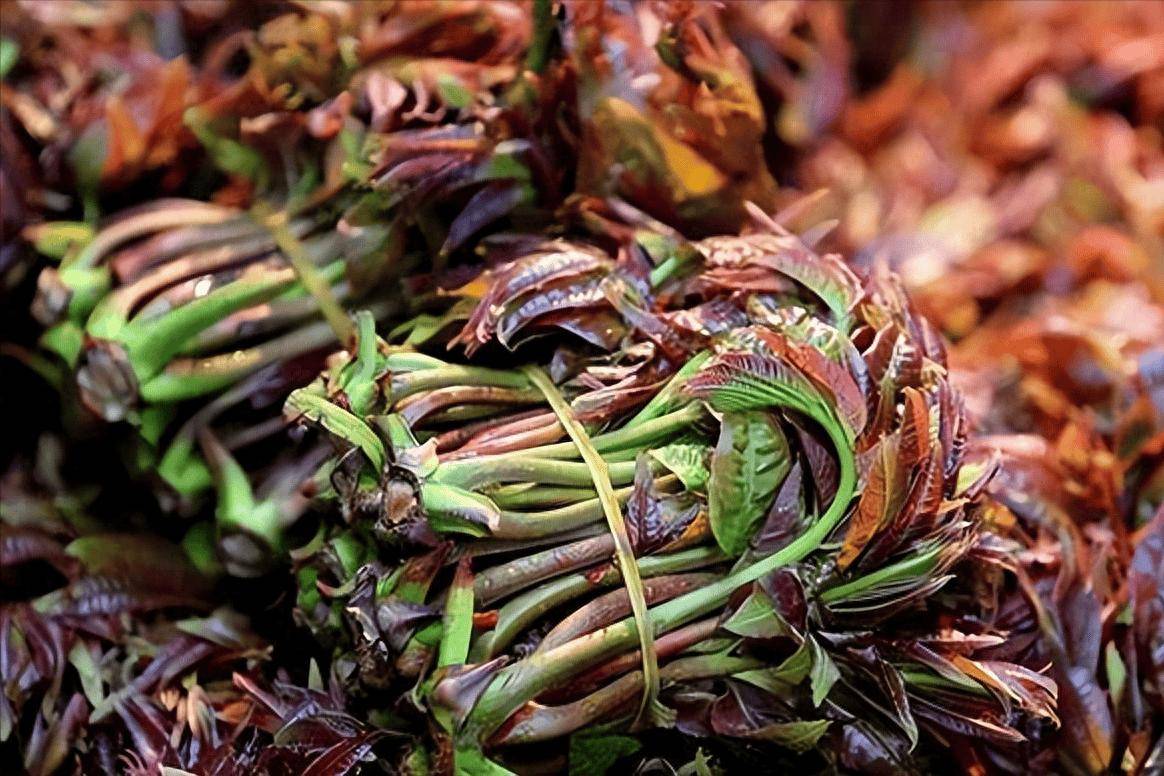 糖尿病患者能吃香椿吗?