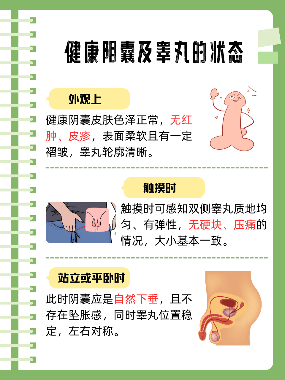 睾丸炎是怎样引起的