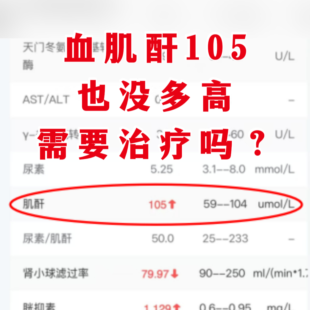 血尿素偏高