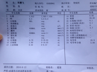 血沉偏高说明什么