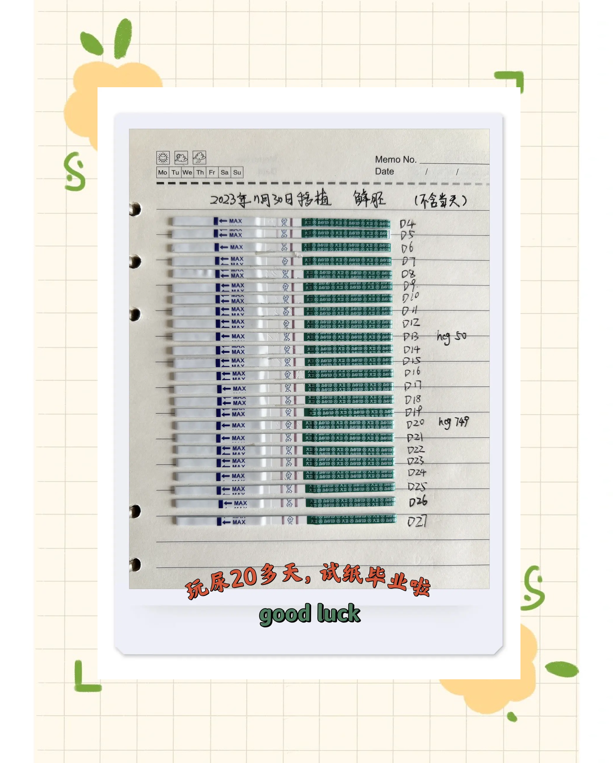 验血未怀孕后来又怀了怎么回事