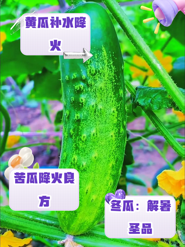 北鸿朗 第2页