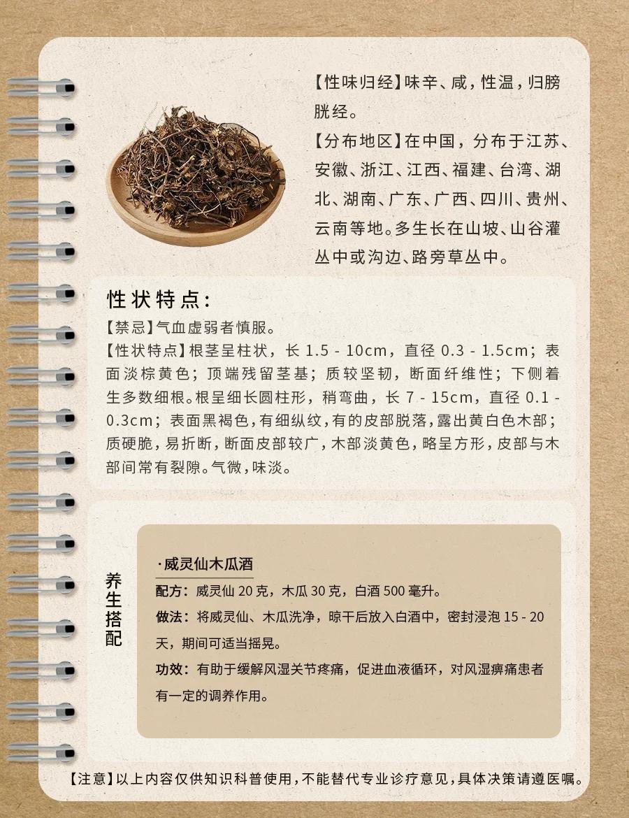 威灵仙的作用与功效