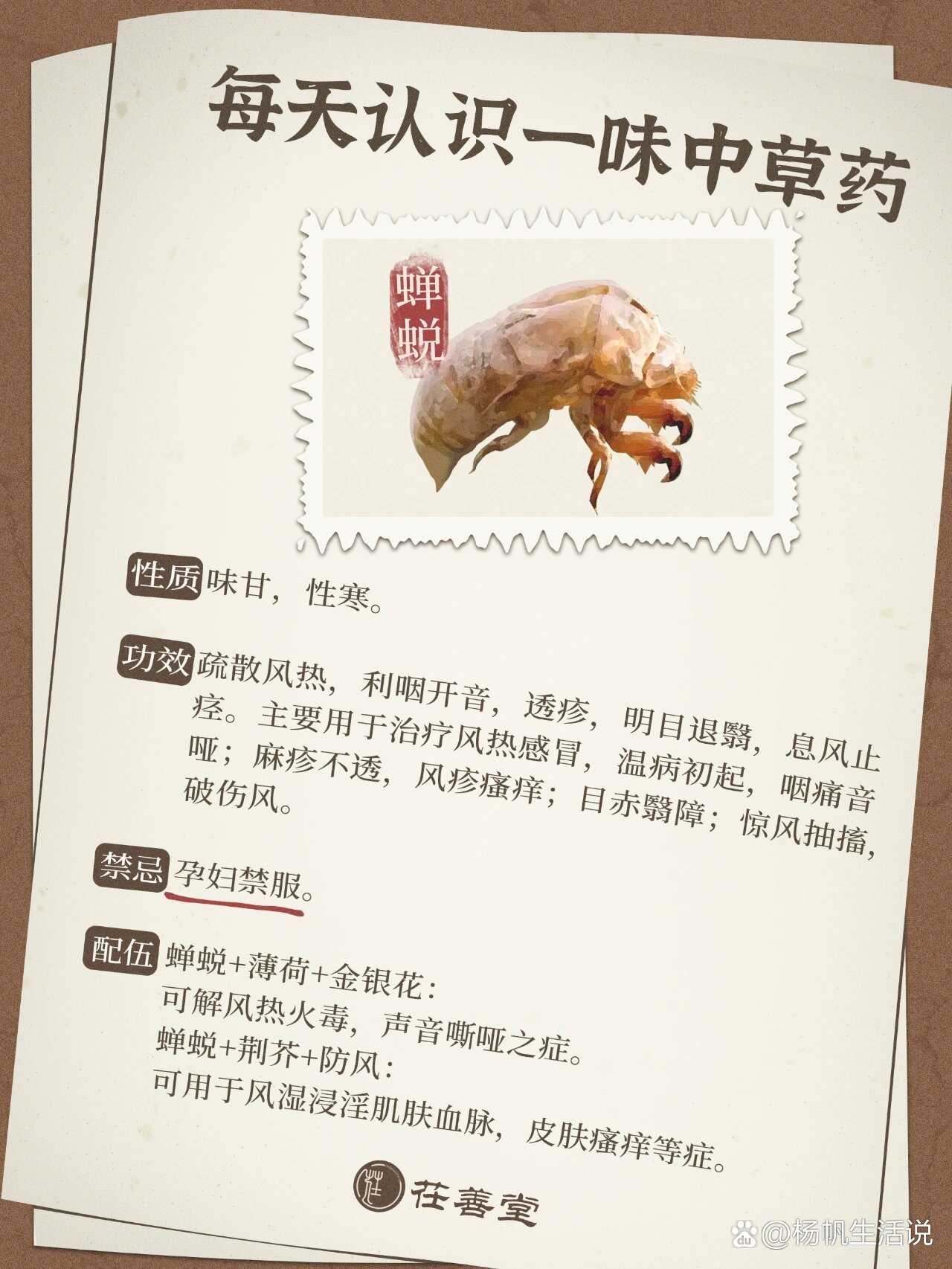 蝉蜕的功效与作用