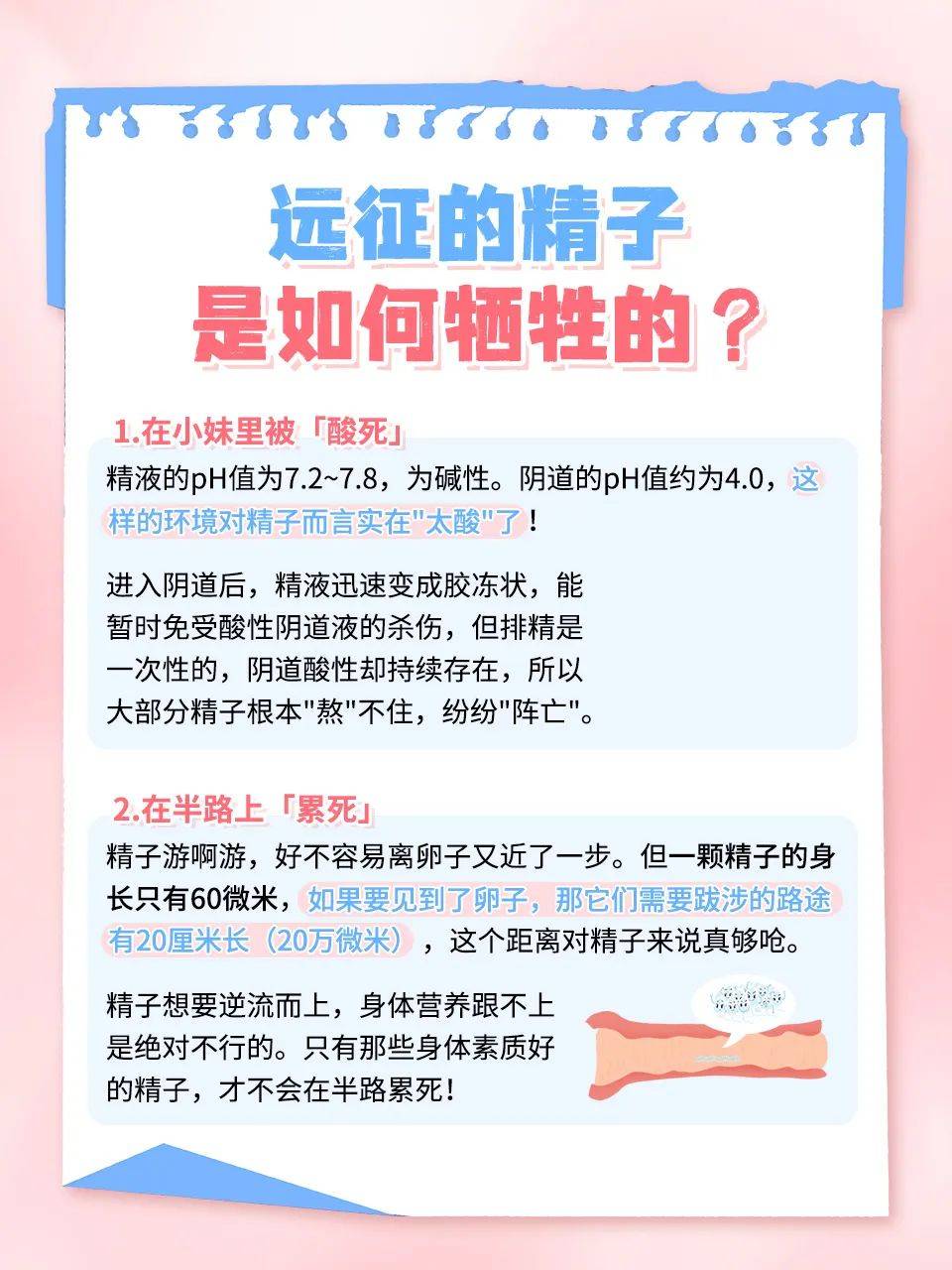女人吃男人精子有什么好处,真的能美容养颜