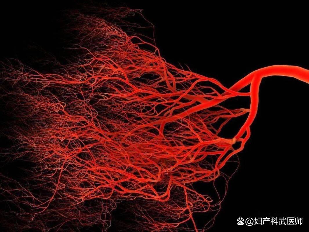 身上长红色像红痣的小红点是什么