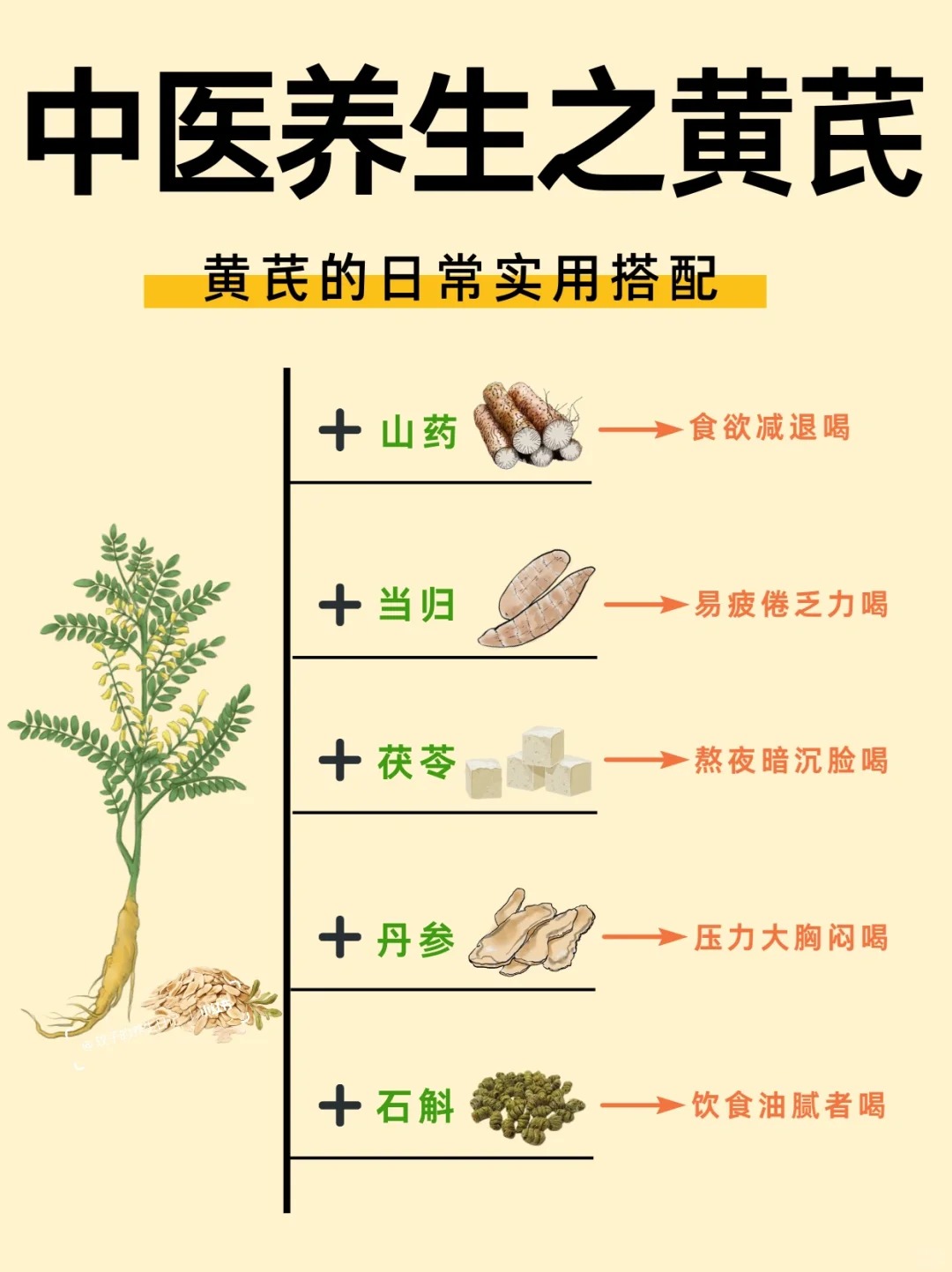 炙黄芪功效与作用