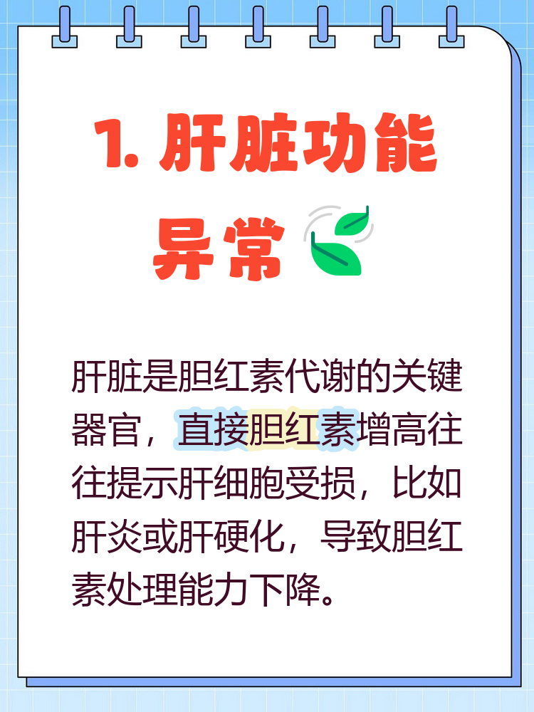 胆红素增高与哪些因素有关