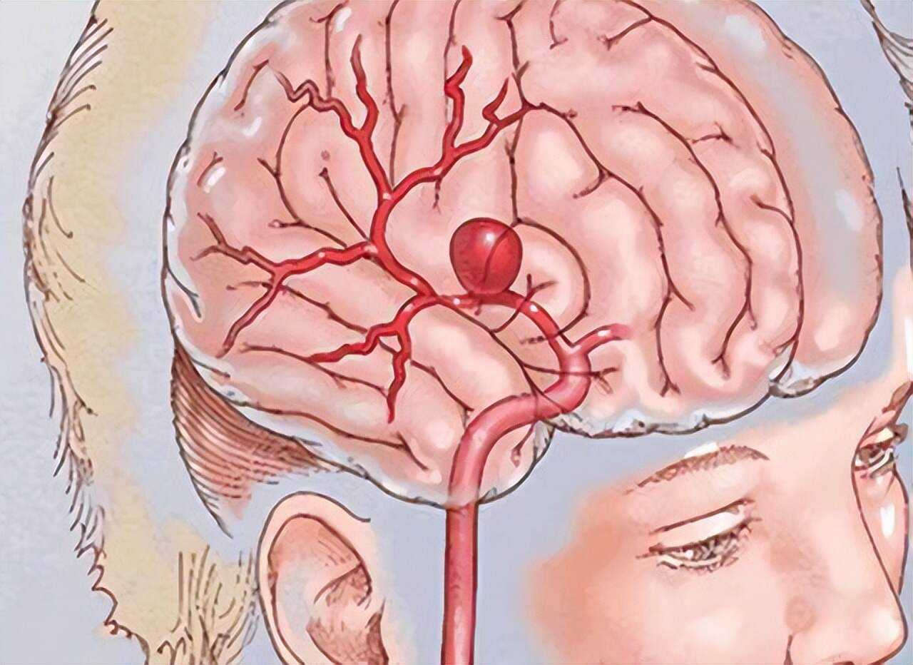 虞兰蕙 第2页