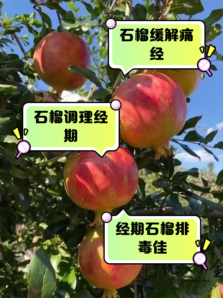 月经来可以吃石榴吗