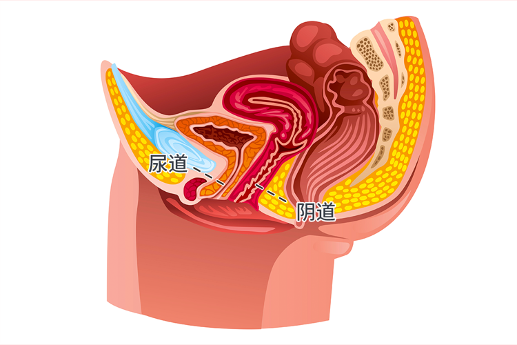 刺激阴蒂后阴道流出水一样的东西