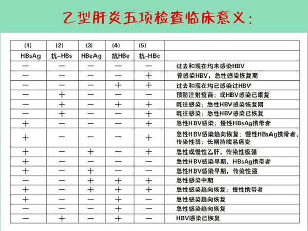 肝功和乙肝五项的区别