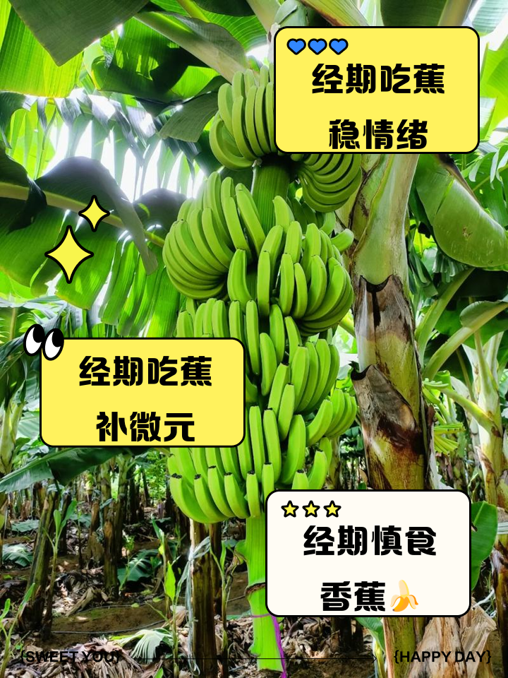月经期不能吃香蕉吗