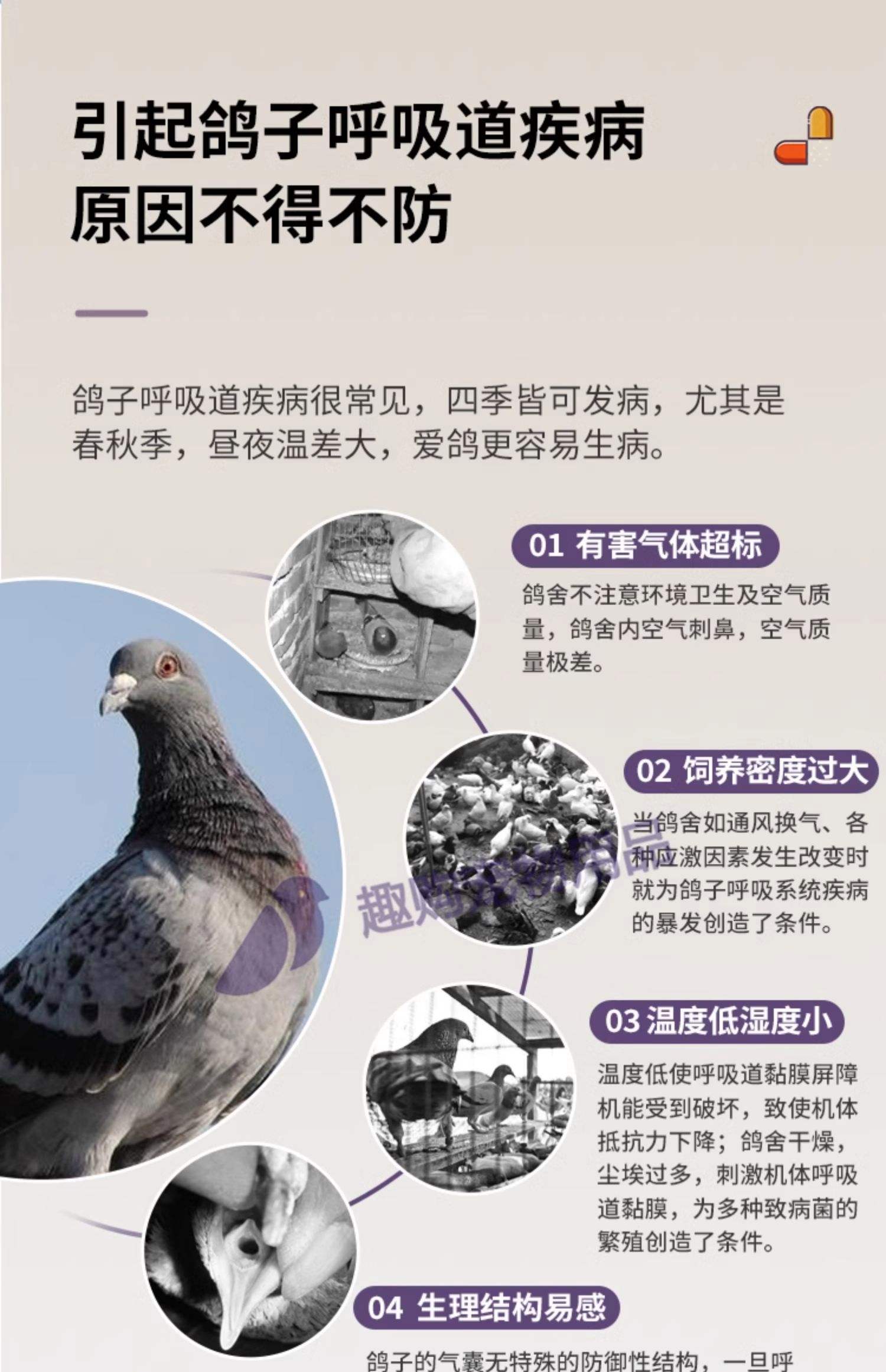 禽流感能治疗好吗?