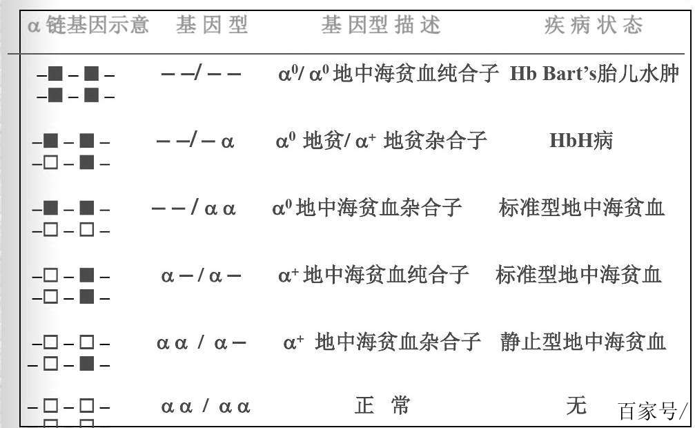 怎样判断是地中海贫血