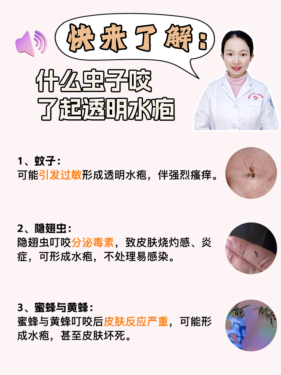 被蚊子咬了.为什么会起包